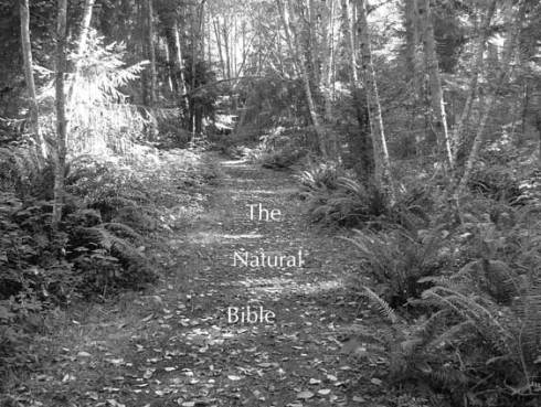 Natural-Bible-path