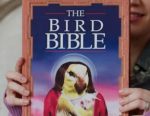 bird-bible